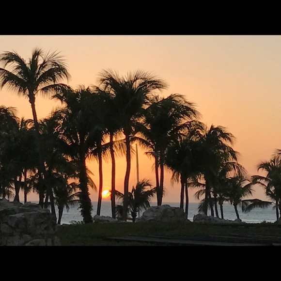 Meet your Posher, Marie - Picture 1 of 1